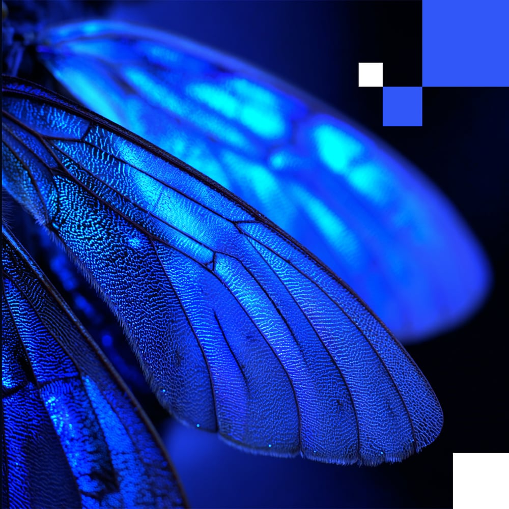 a close up of butterfly wings