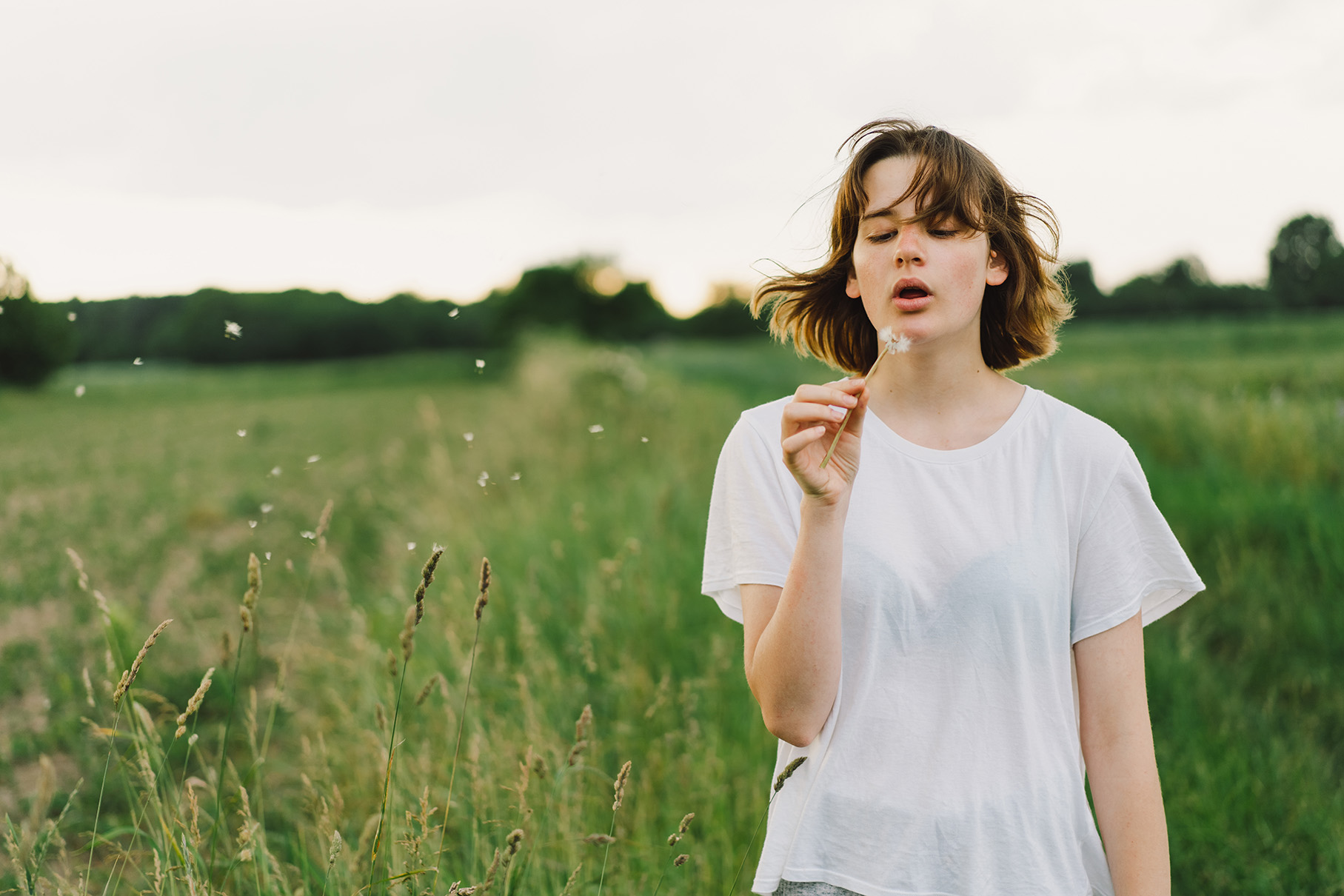 pharma-stock-blowing-dandelion