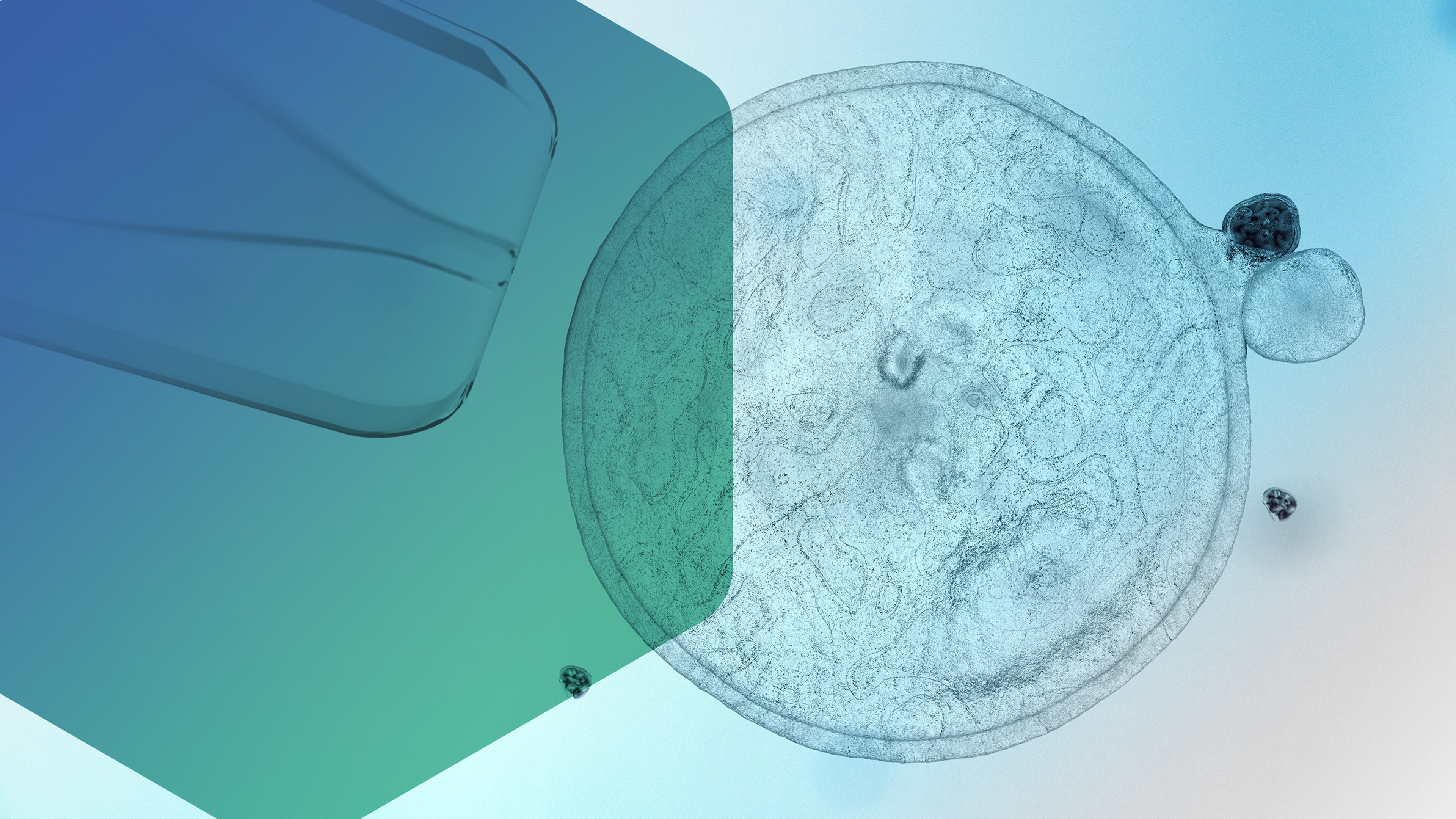 BioLife Solutions