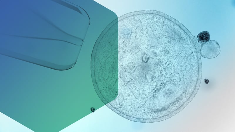BioLife Solutions