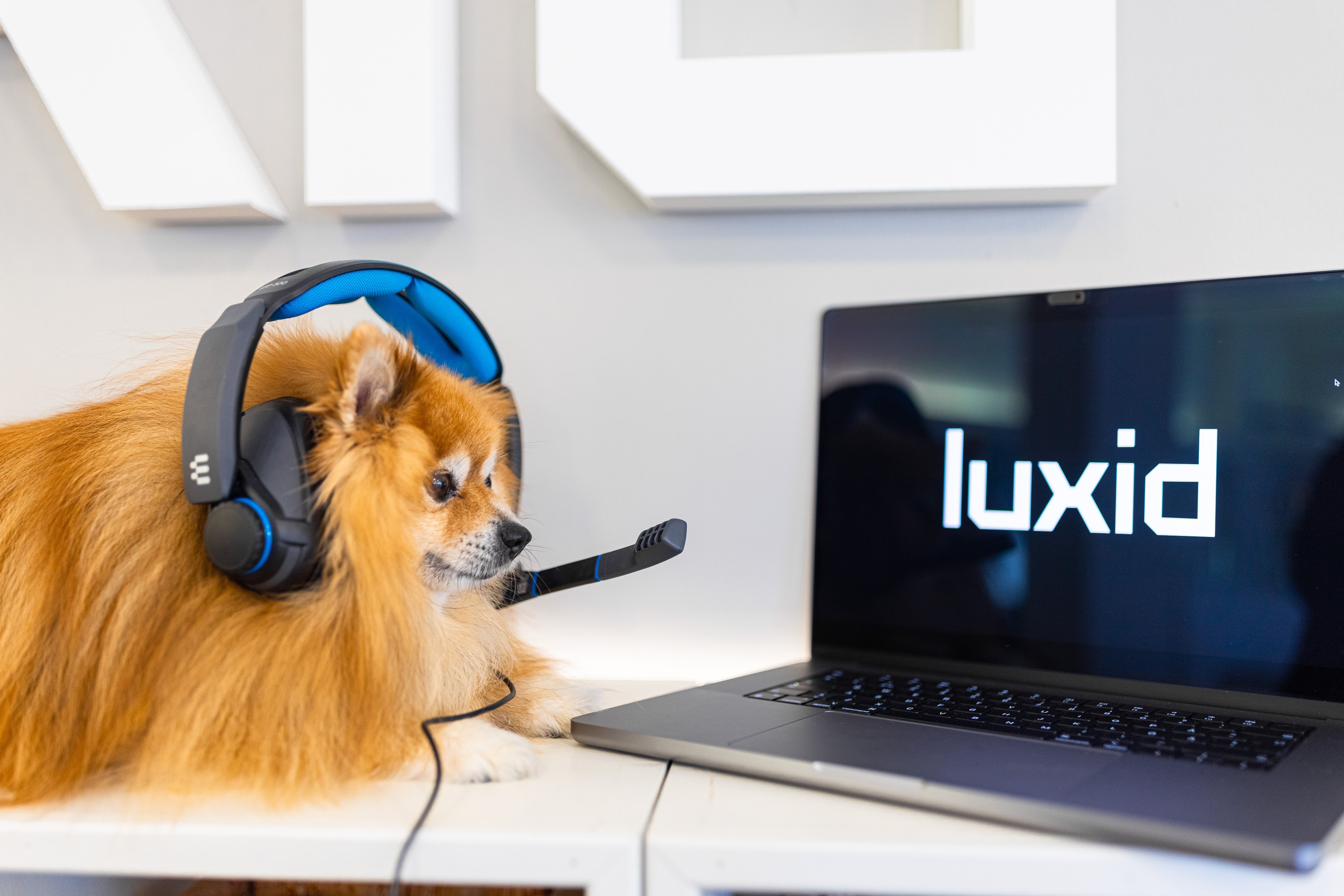 luxid-lowres-5445