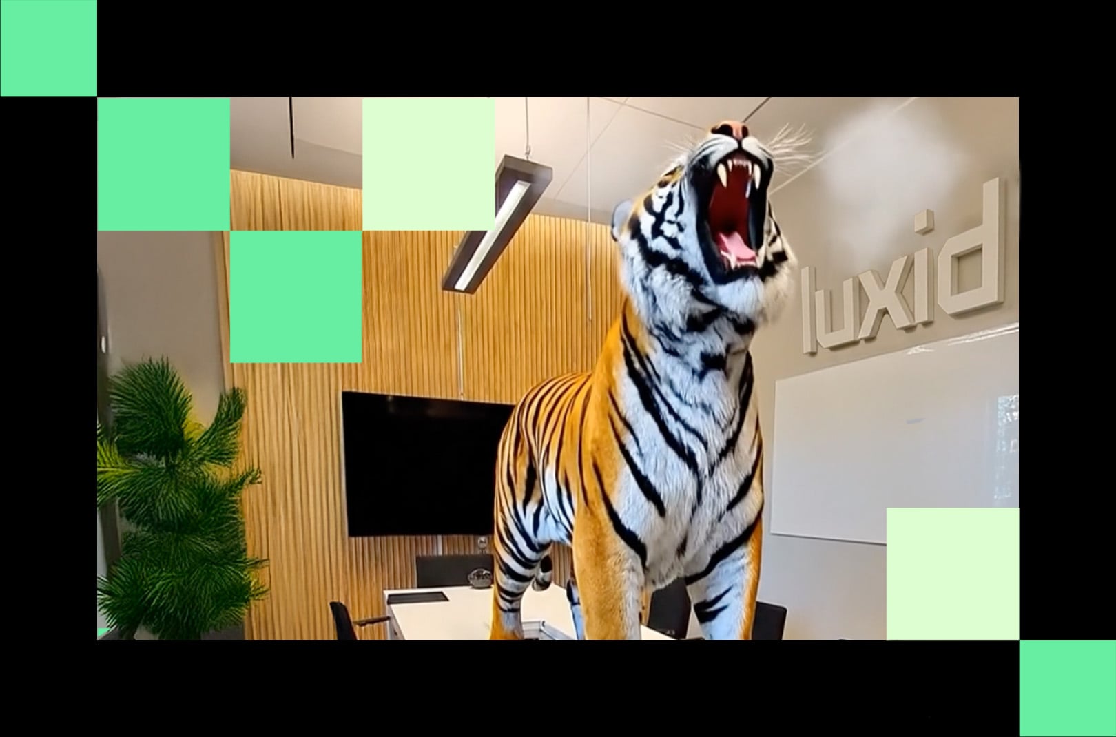 On the hunt for emerging AI tools: introducing Luxid’s Tiger Team